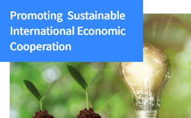 Promoting Sustainable International Economic Cooperation